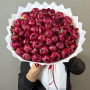 51 бордовый пион